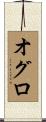 オグロ Scroll
