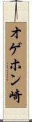 オゲホン崎 Scroll
