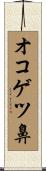オコゲツ鼻 Scroll
