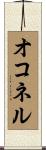 オコネル Scroll