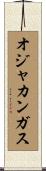 オジャカンガス Scroll