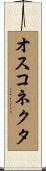 オス・コネクタ Scroll