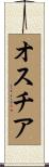 オスチア Scroll