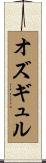 オズギュル Scroll