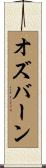 Osburn Scroll
