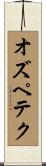 オズペテク Scroll
