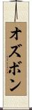 オズボン Scroll