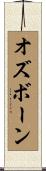 Osborn Scroll