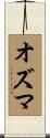オズマ Scroll