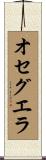 Oceguera Scroll