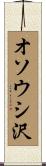 オソウシ沢 Scroll