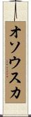 オソウスカ Scroll