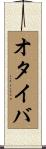オタイバ Scroll