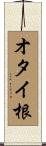 オタイ根 Scroll