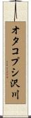 オタコプシ沢川 Scroll