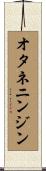 オタネニンジン Scroll