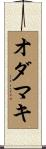 オダマキ Scroll
