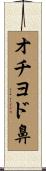 オチヨド鼻 Scroll