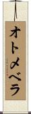 オトメベラ Scroll