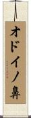 オドイノ鼻 Scroll
