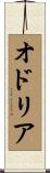 オドリア Scroll