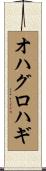 オハグロハギ Scroll
