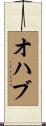 オハブ Scroll