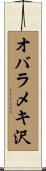オバラメキ沢 Scroll