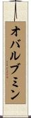 オバルブミン Scroll
