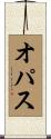 オパス Scroll