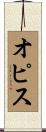 オピス Scroll