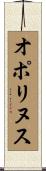 オポリヌス Scroll