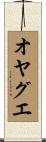オヤグエ Scroll