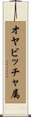 オヤビッチャ属 Scroll