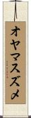 オヤマスズメ Scroll
