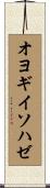 オヨギイソハゼ Scroll
