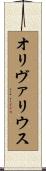 オリヴァリウス Scroll