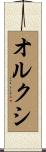 オルクシ Scroll