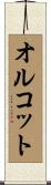 オルコット Scroll