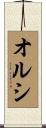 オルシ Scroll