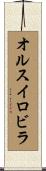 オルスイロビラ Scroll