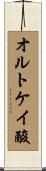 オルトケイ酸 Scroll