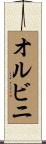 オルビニ Scroll