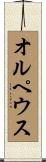 オルペウス Scroll