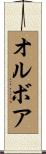 オルボア Scroll