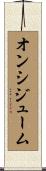 オンシジューム Scroll