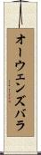 オーウェンズバラ Scroll