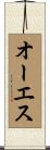 オーエス Scroll