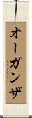 オーガンザ Scroll