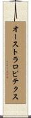 オーストラロピテクス Scroll